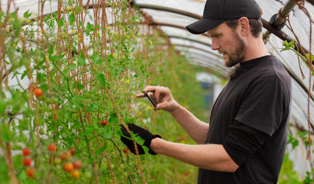 Ericsson_agro-green Raport Ericsson: Czy możemy wprowadzić 5G i zmniejszyć zużycie energii?